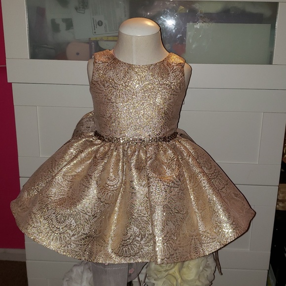 toddler special occasion dresses